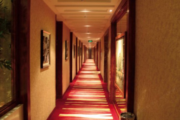 成都网红茶馆养生秘籍大公开(成都网红茶室)