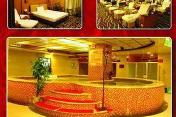 成都樱花茶园，尽享樱花与茶的美好交融